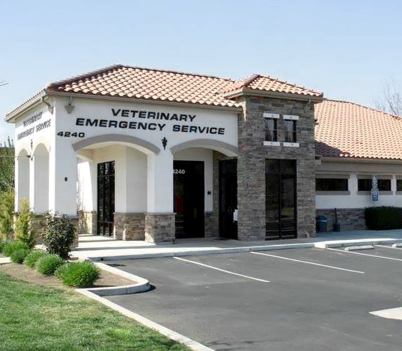 Tulare-Kings Veterinary Emergency Services in Visalia